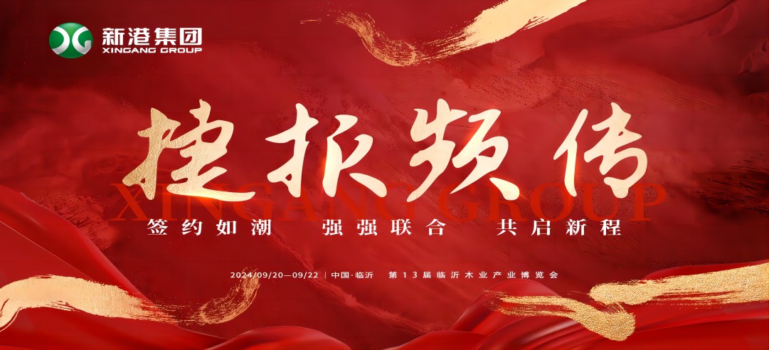 尽兴逐梦战至巅峰，新港集团X临沂木博会载誉收官！